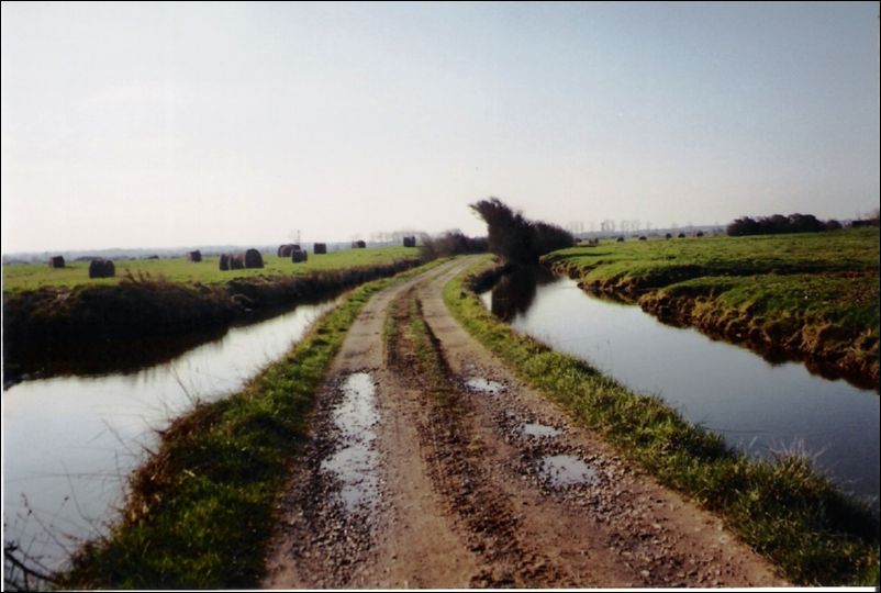 Les-marais-du-home-varaville