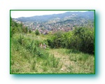 Cliquer pour agrandir
