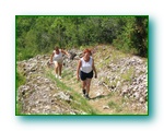 Cliquer pour agrandir